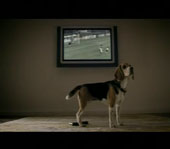 'Philips' PHILIPS FLAT TV  (собака) бытовая техника